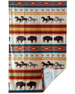 Carsten Home Western Stripe Curtain Panels -Shepler Fashion Shop 2000394041 900 P4